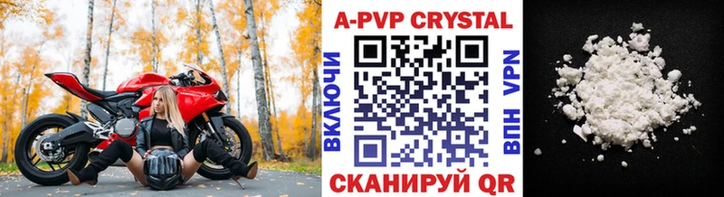 A PVP СК  Новотроицк 