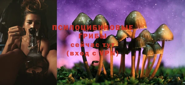 прущий лед Абдулино