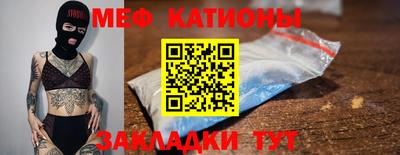 стафф Кингисепп