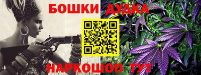стафф Кингисепп