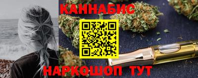 стафф Кингисепп