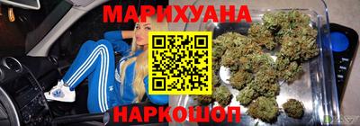 стафф Кингисепп