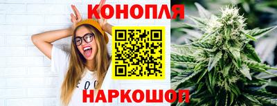 стафф Кингисепп