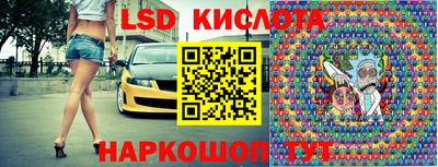 стафф Кингисепп