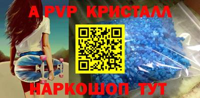 стафф Кингисепп