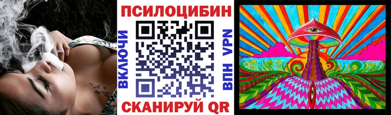 наркотики  Новотроицк  Галлюциногенные грибы GOLDEN TEACHER 