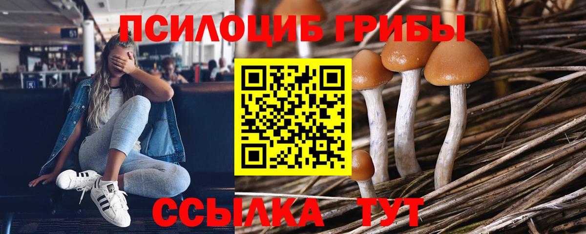 Галлюциногенные грибы Magic Shrooms Новотроицк