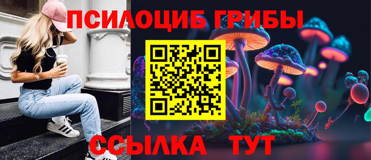 Галлюциногенные грибы Magic Shrooms  Вход с VPN  закладки  Новотроицк 